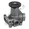 CAR 331112 Water Pump